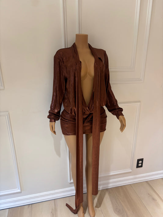 Brown Shiny Dress