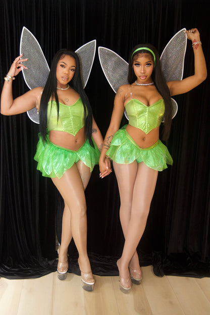 Fairy Costume