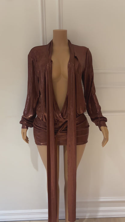 Brown Shiny Dress
